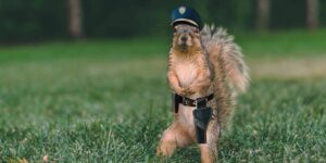 Squirrel Police Department